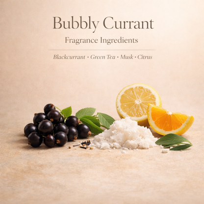 BUBBLY CURRANT – Silver Mountain Water-Style Scent